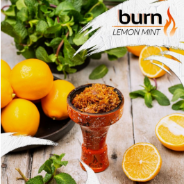 Табак Берн Burn Lemon mint (Берн Лимон Мята) 100 грамм