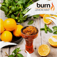 Табак Берн Burn Lemon mint (Берн Лимон Мята) 100 грамм