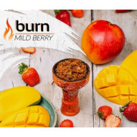 Табак Burn Mild Berry (Бёрн Манго Земляника) 100 грамм 