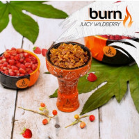 Табак Burn Juicy Wildberry (Бёрн Дикая Земляника) 100 грамм