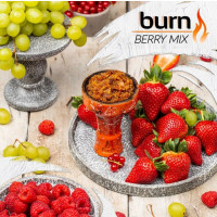 Табак Burn Berry Mix (Бёрн Ягодный Микс) 100 грамм 