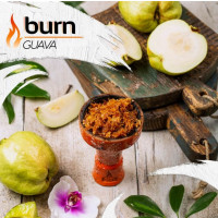 Табак Burn Guava (Берн Гуава) 100 грамм