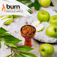 Табак Burn Famous Apple (Бёрн Знаменитое яблоко) 100 грамм