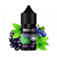 Жидкость Nova Berry Mint (Ягода Мята) 30мл