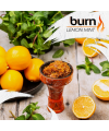 Табак Берн Burn Lemon mint (Берн Лимон Мята) 100 грамм - Фото 2