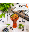 Табак Bern Blueberry Mint (Берн Блубери Минт) - Фото 2