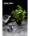 Табак Dark Side Dark Mint (Тросниковая мята) medium 100 г. - Фото 2