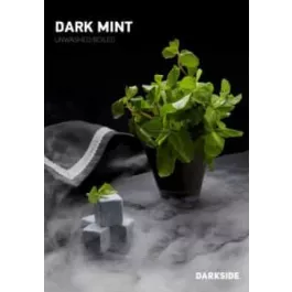 Табак Dark Side Dark Mint (Тросниковая мята) medium 100 г.