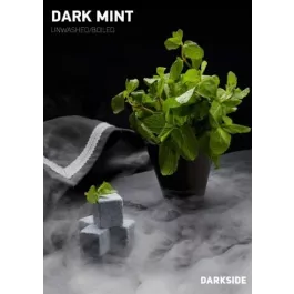 Табак Dark Side Mint (Дарксайд Минт) soft 100 грамм