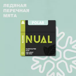 Табак для кальяна Nual Polar (Нуал Мятный Айс) 100 грамм