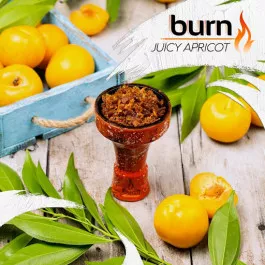Табак Burn Juicy Apricot (Бёрн Сочный Абрикос) 100 грамм