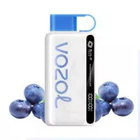 Электронная сигарета Vozol 12000 Blueberry Storm (Черника)