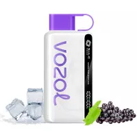 Электронная сигарета Vozol 12000 Grape Ice (Виноград Лёд)