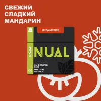 Табак для кальяна Nual Ice Tangerine (Нуал Айс Мандарин) 100 грамм