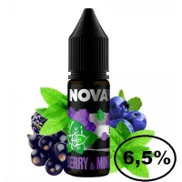 Жидкость Nova Berry Mint (Ягода Мята) 15мл