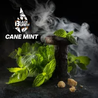 Табак Burn Black Cane Mint (Бёрн Блек Тросниковая Мята) 100 грамм