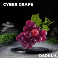 Табак DARKUA Cyber Grape (Дарк ЮА Виноград Мята) 100 грамм 