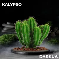 Табак DARKUA Kalypso (Дарк ЮА Кактус) 100 грамм