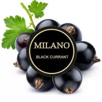 Табак Milano Black Currant M48 (Милано Черная Смородина) 100 грамм 