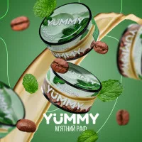 Табак Yummy Mint Raff (Мятный Раф) 100гр 