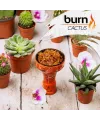 Табак Burn Cactus (Берн Кактус) 100 грамм - Фото 2